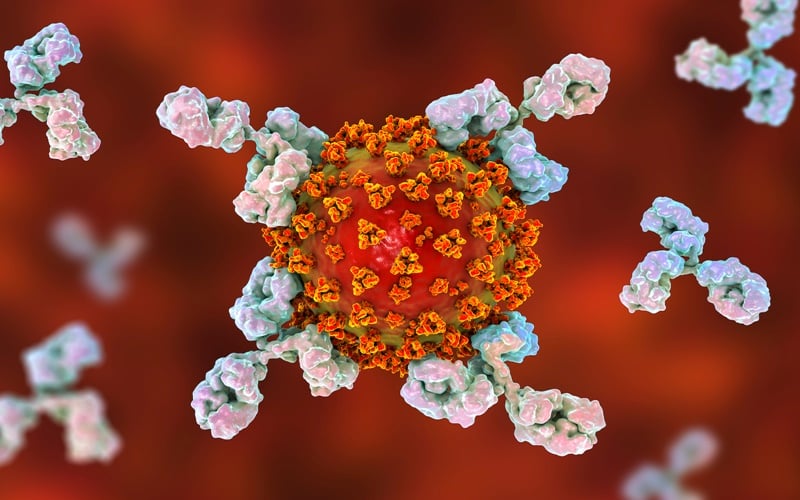 Meningkatkan Antibodi 'Berlapis' Selama Pandemi Covid-19