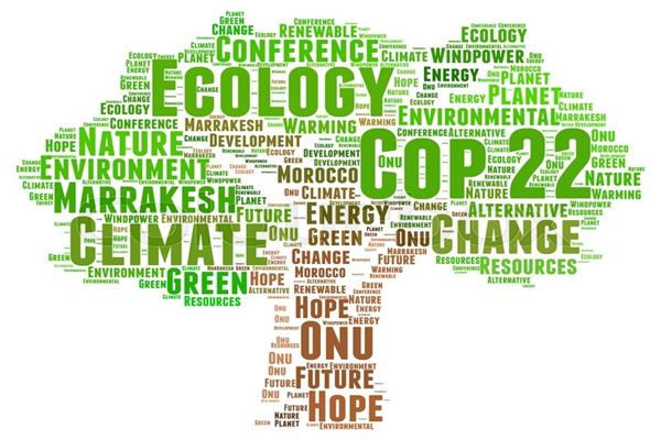 BEI Berperan Besar Terapkan Ekonomi Hijau & Tekan Emisi Karbon