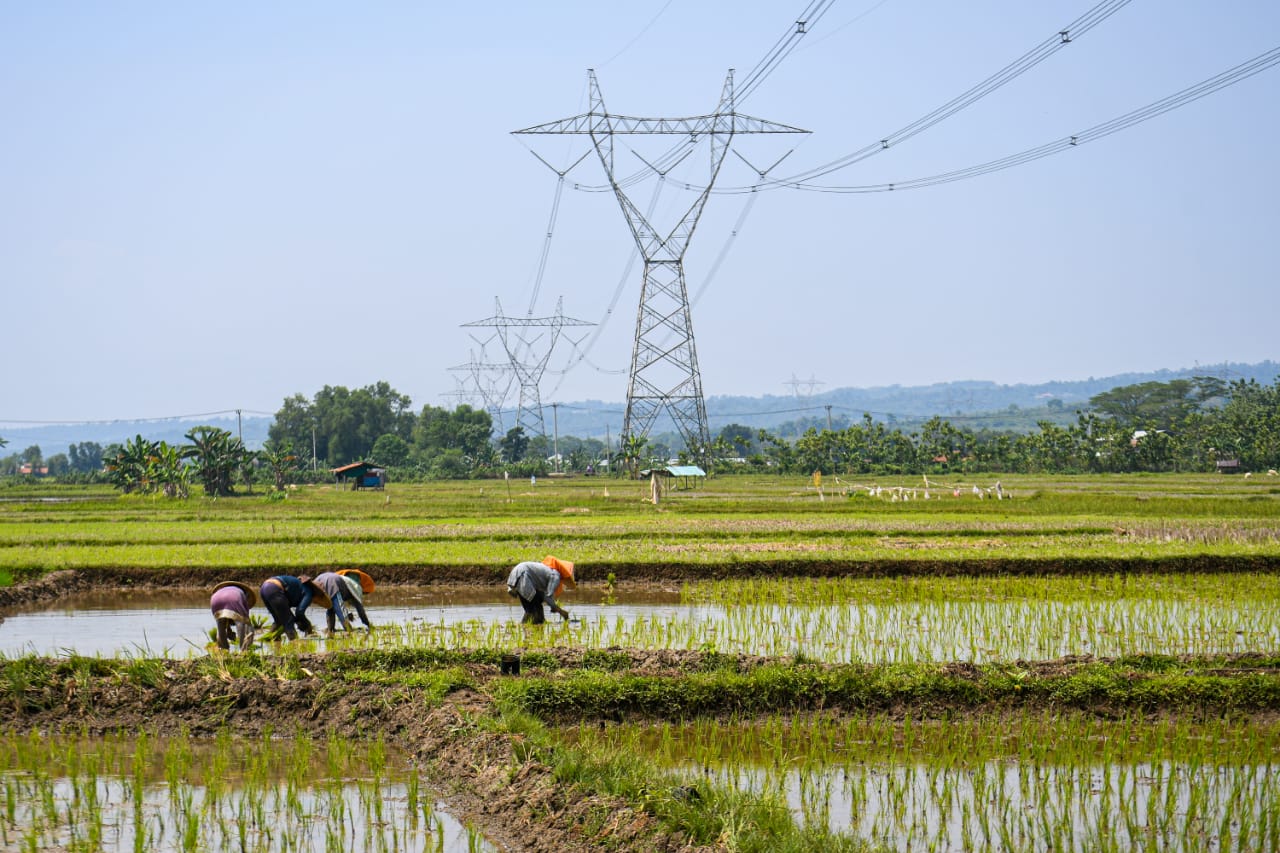 Nilai Tukar Petani Oktober 2021 Naik 0,93 Persen