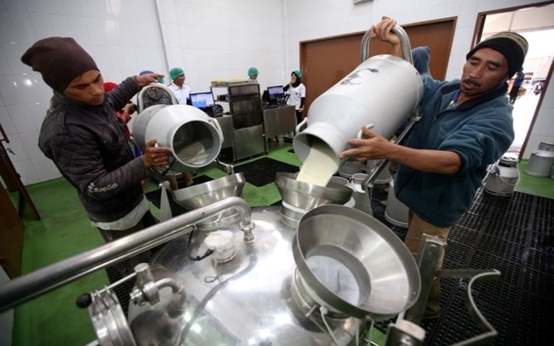 Mendesak Keberimbangan Fasilitas Bea Masuk bagi Industri Susu