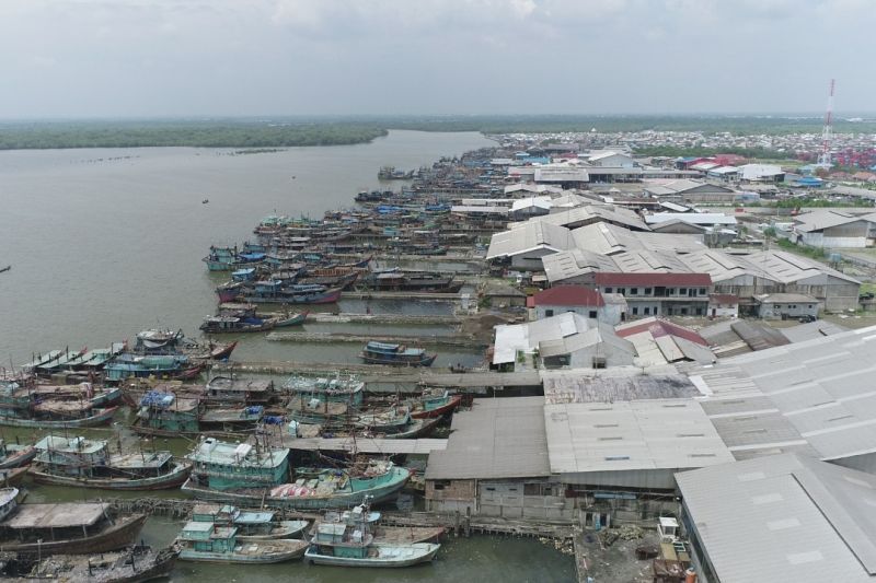 Pelabuhan Belawan Dikebut jadi Eco Fishing Port