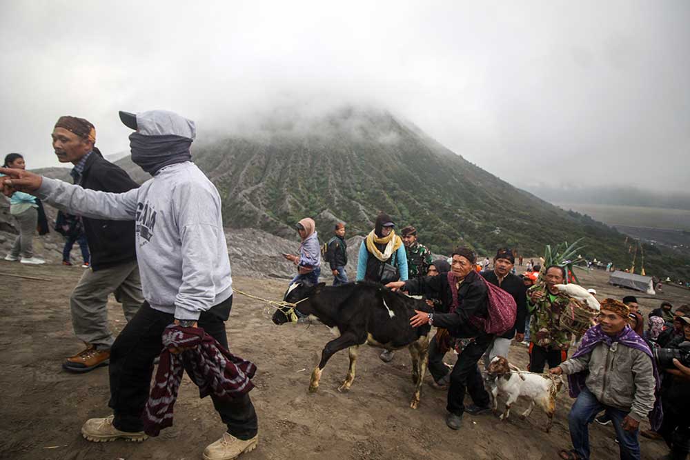 Upacara Kasada Suku Tengger Di Kawah Gunung Bromo