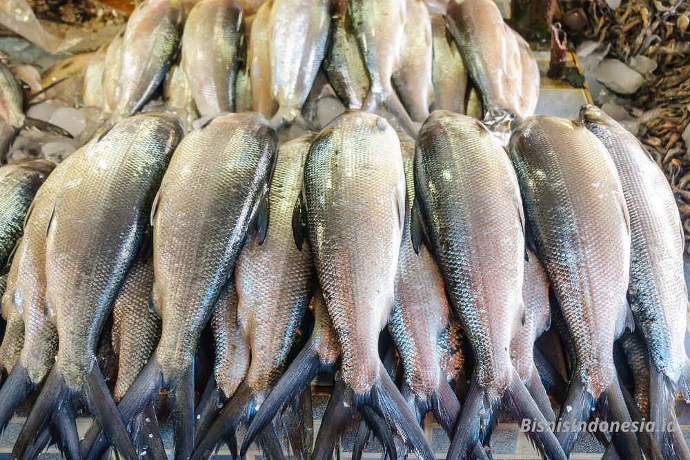 Sulsel Jadi Daerah Penghasil Ikan Bandeng Terbesar di Indonesia